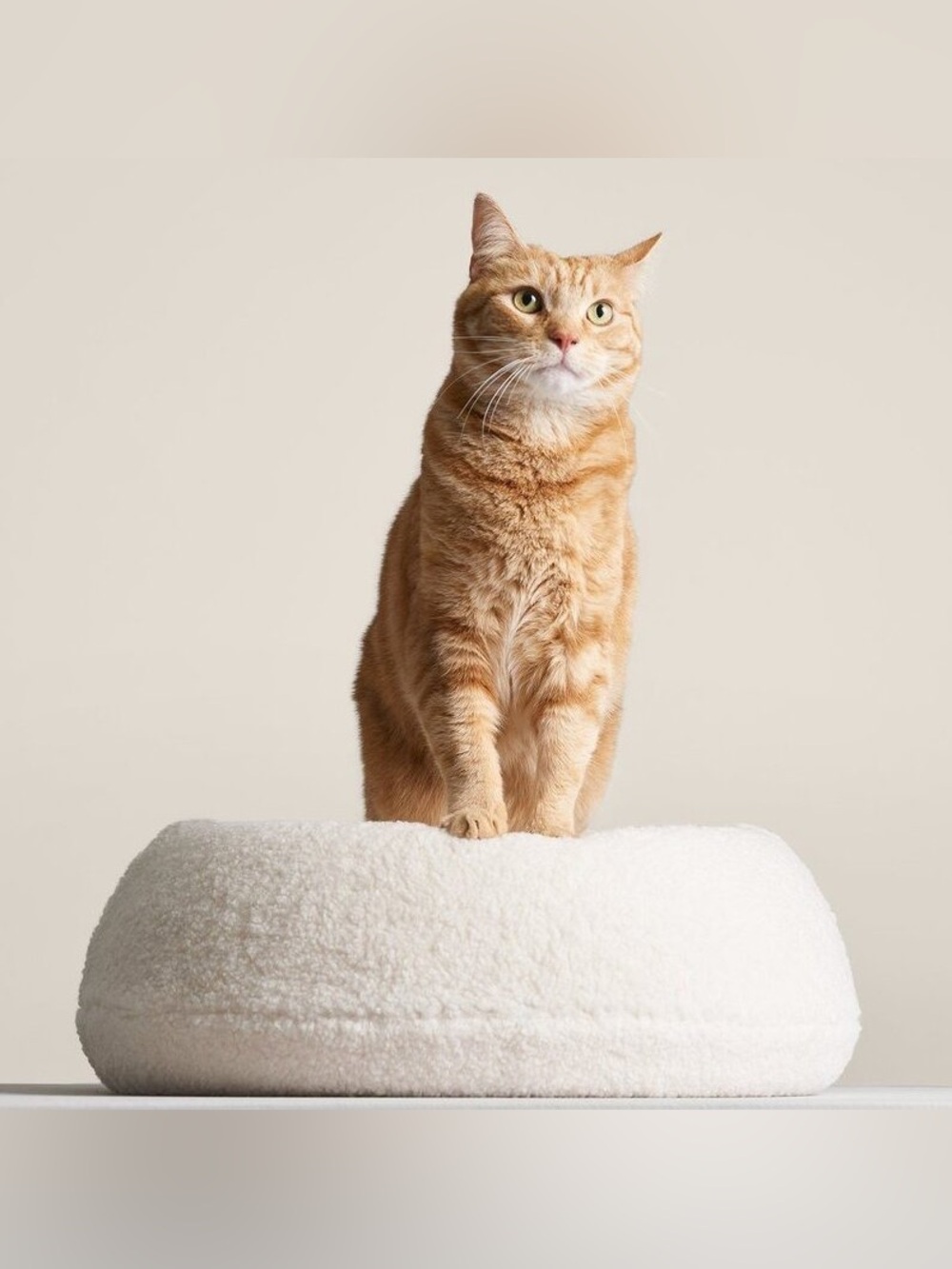 Tuft + Paw Plush Cream Round Sherpa “The Puff” Cat Bed